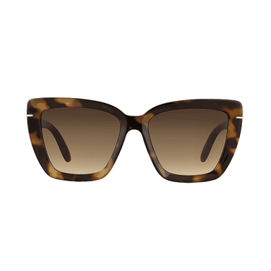 Daniel Klein DK4334 C.2-2.png